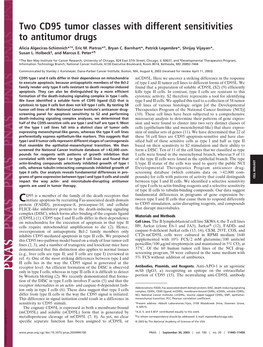 Two CD95 Tumor Classes with Different Sensitivities to Antitumor Drugs