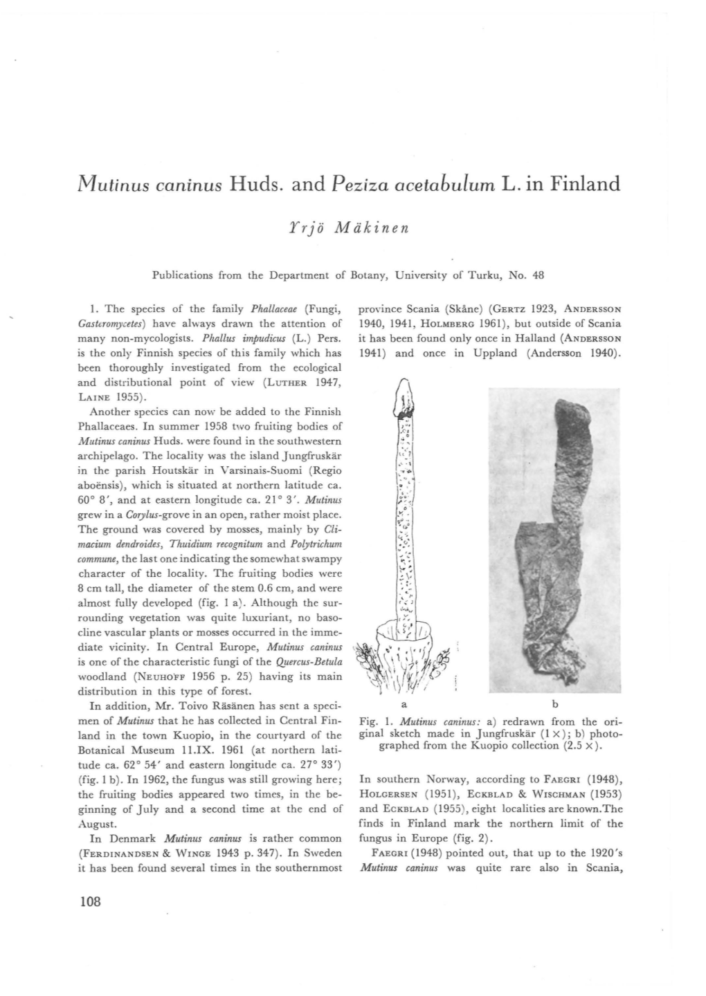 Mutinus Caninus Huds. and Peziza Acetabulum L. in Finland