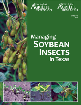 Managing Soybean Insects in Texas