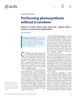 Performing Photosynthesis Without B-Carotene
