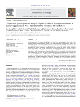 Comparative Gene Expression Analysis of Genital Tubercle Development Reveals a Putative Appendicular Wnt7 Network for the Epidermal Differentiation