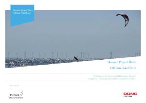 Hornsea Project Three Offshore Wind Farm Preliminary Environmental