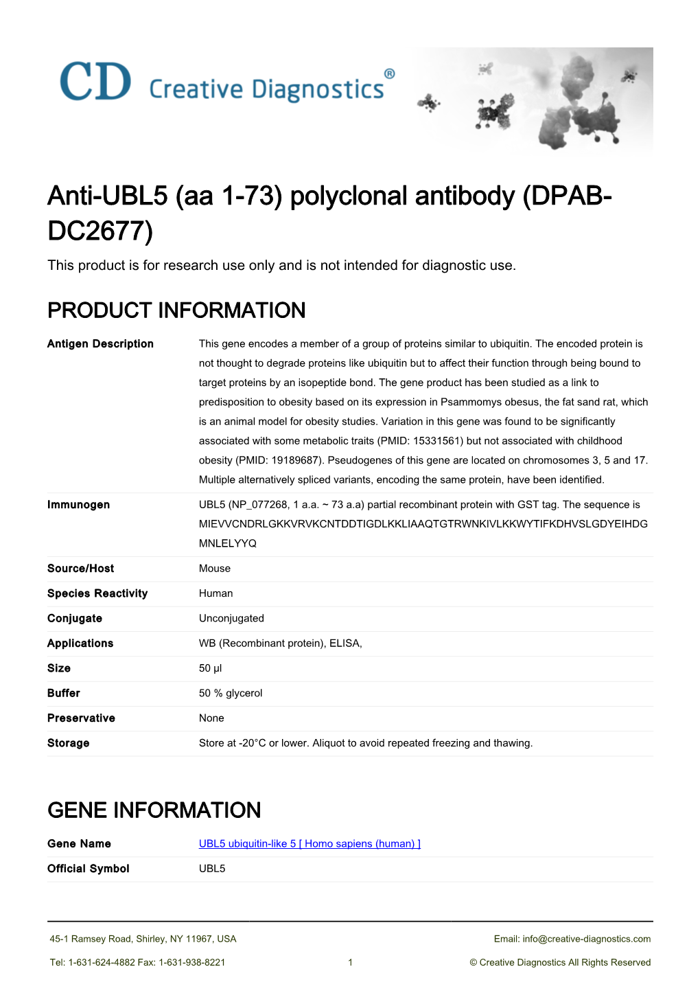 Anti-UBL5 (Aa 1-73) Polyclonal Antibody (DPAB- DC2677) This Product Is for Research Use Only and Is Not Intended for Diagnostic Use