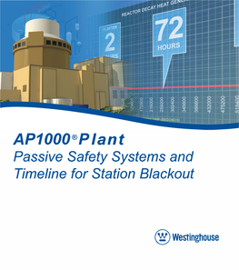 AP1000 Station Blackout Brochure