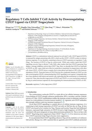 Regulatory T Cells Inhibit T Cell Activity by Downregulating CD137 Ligand Via CD137 Trogocytosis
