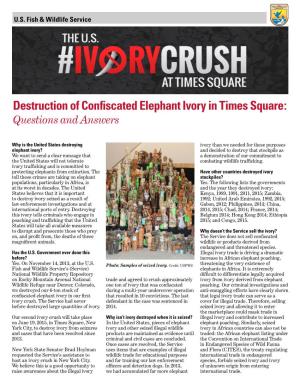 Destruction of Confiscated Elephant Ivory in Times Square: Questions and Answers