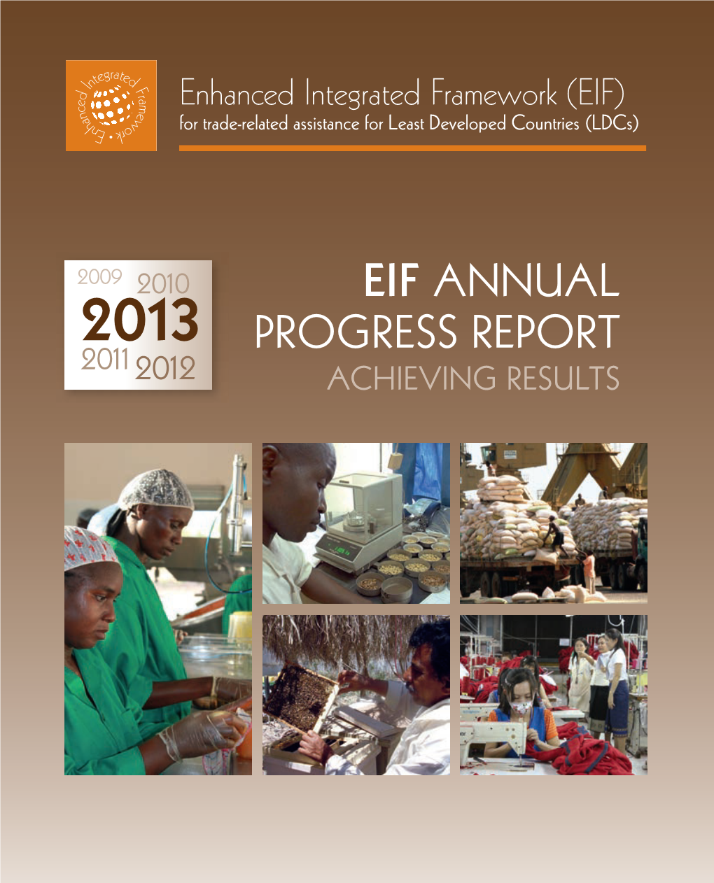 Eif Annual Progress Report