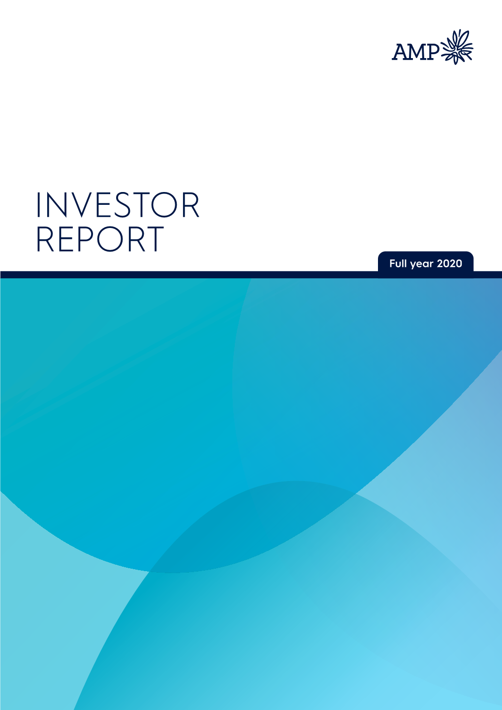 AMP Investor Report FY 20 1