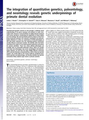 The Integration of Quantitative Genetics, Paleontology, and Neontology Reveals Genetic Underpinnings of Primate Dental Evolution