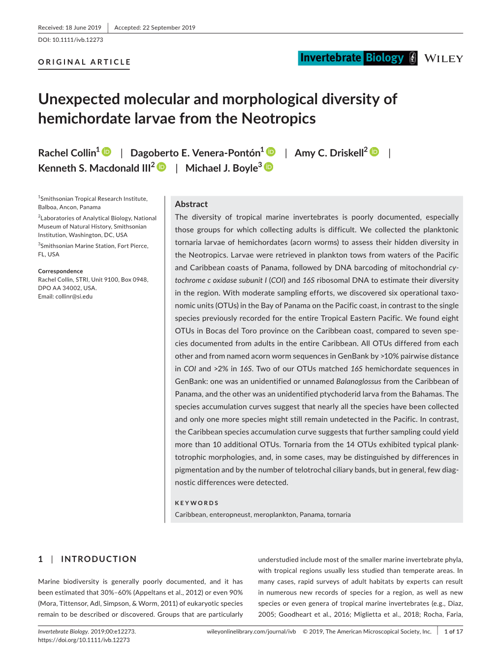 Unexpected Molecular and Morphological Diversity of Hemichordate Larvae from the Neotropics