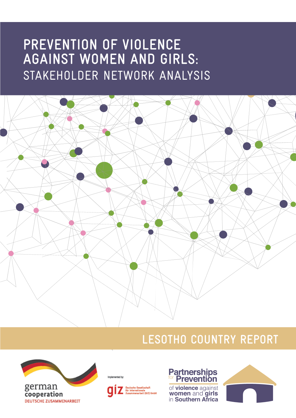 Prevention of Violence Against Women and Girls: Stakeholder Network Analysis