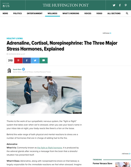 Adrenaline, Cortisol, Norepinephrine: the Three Major Stress Hormones, Explained