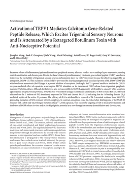 Activation of TRPV1 Mediates Calcitonin Gene-Related Peptide Release, Which Excites Trigeminal Sensory Neurons and Is Attenuated