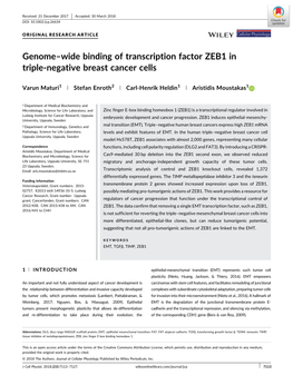 Genome–Wide Binding of Transcription Factor ZEB1 in Triple‐Negative