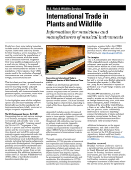 International Trade in Plants and Wildlife Information for Musicians and Manufacturers of Musical Instruments