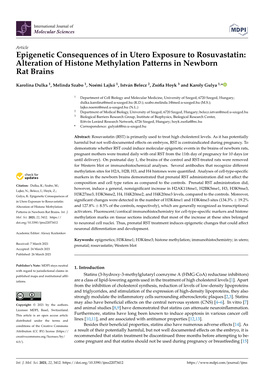 Epigenetic Consequences of in Utero Exposure to Rosuvastatin: Alteration of Histone Methylation Patterns in Newborn Rat Brains