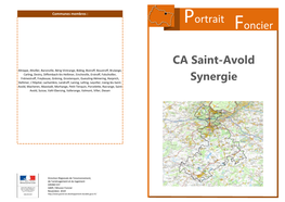 CA Saint Avold Synergie