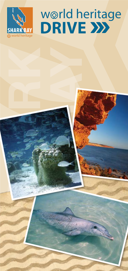 SHARK BAY Shark Bay Is Testimony to the Wonders of the Natural World