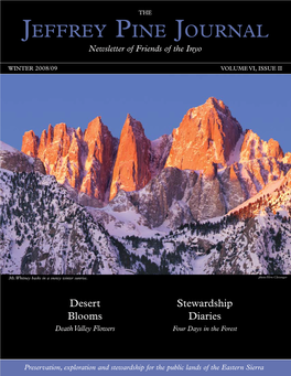 Jeffrey Pine Journal Volume VI, Issue II