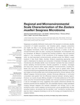 Regional and Microenvironmental Scale Characterization of the Zostera Muelleri Seagrass Microbiome