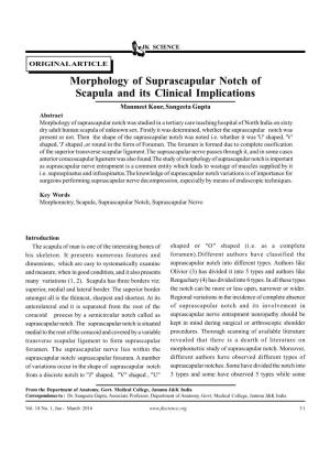 Morphology of Suprascapular Notch of Scapula and Its Clinical Implications