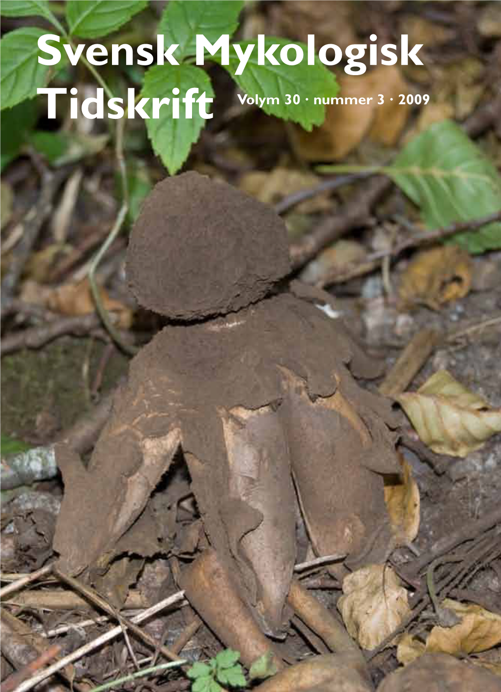 Svensk Mykologisk Tidskrift Volym 30 · Nummer 3 · 2009 Svensk Mykologisk Tidskrift Inkluderar Tidigare
