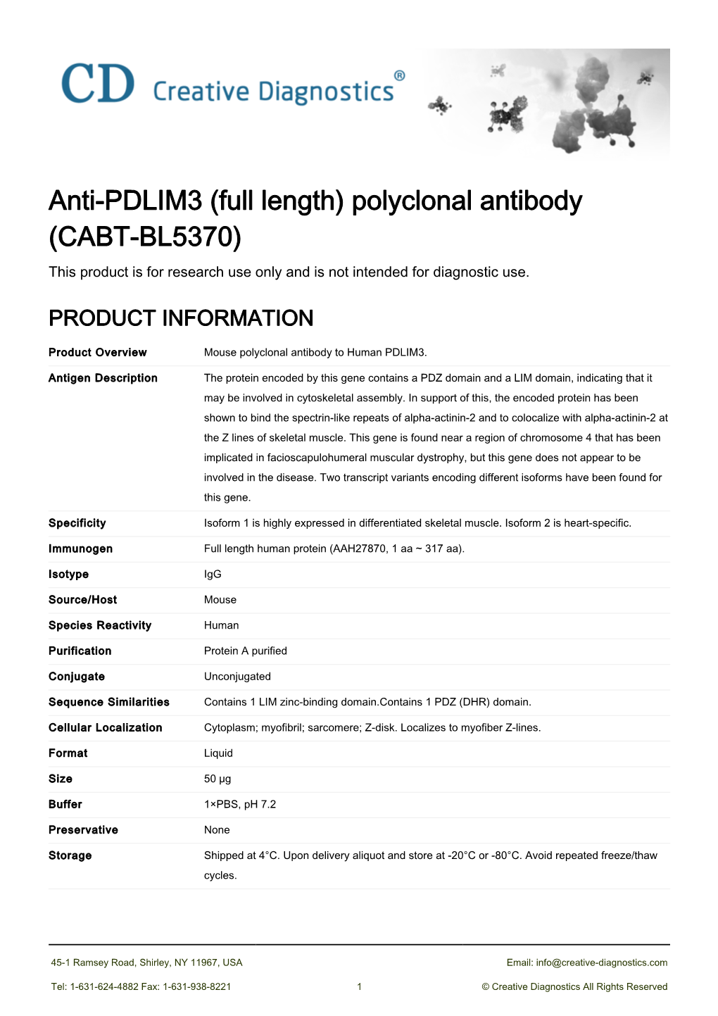 Anti-PDLIM3 (Full Length) Polyclonal Antibody (CABT-BL5370) This Product Is for Research Use Only and Is Not Intended for Diagnostic Use