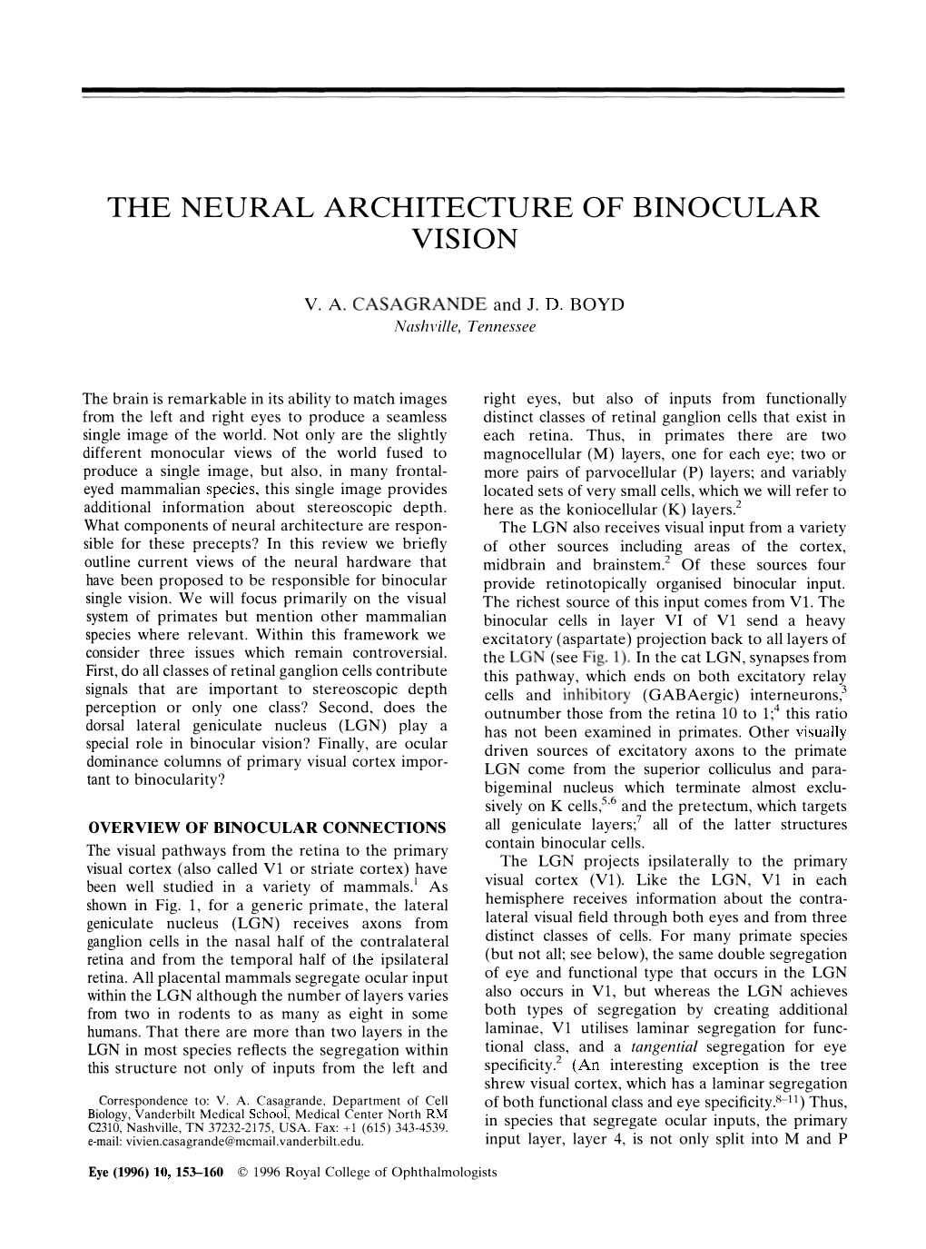 The Neural Architecture of Binocular Vision