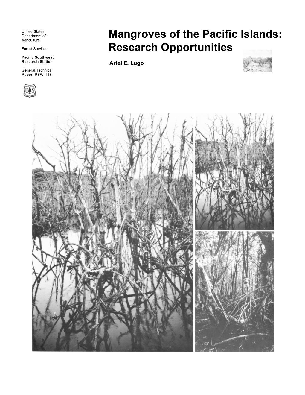 Mangroves of the Pacific Islands: Research Opportunities. Gen