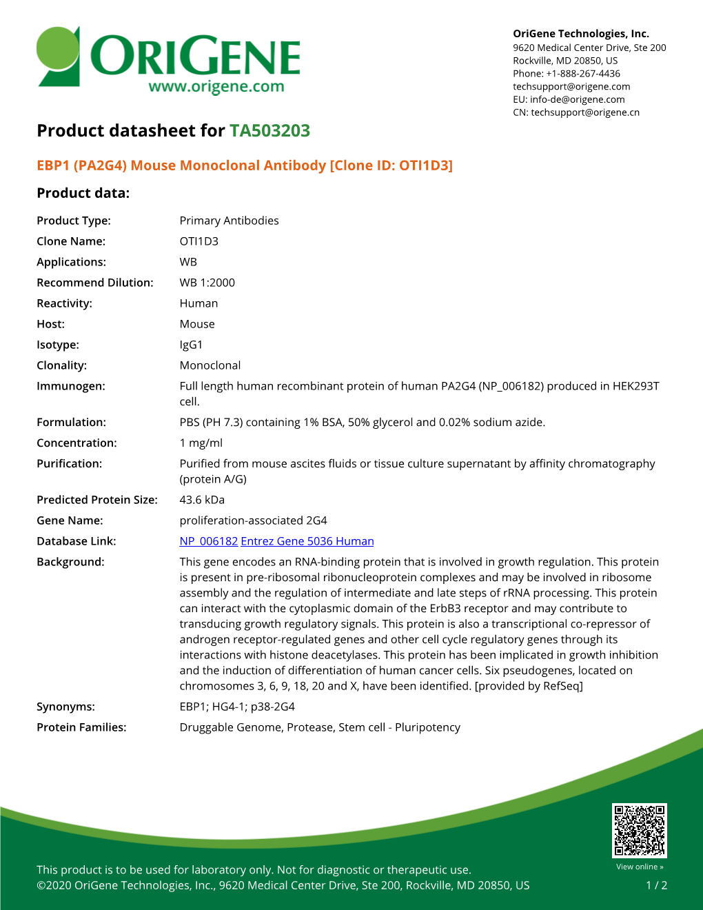 EBP1 (PA2G4) Mouse Monoclonal Antibody [Clone ID: OTI1D3] Product Data