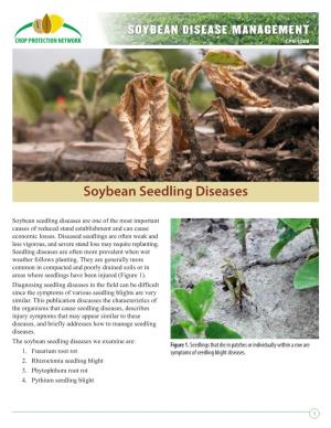 Soybean Seedling Disease Management