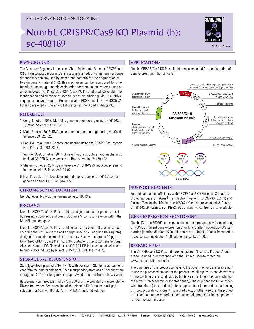 Numbl CRISPR/Cas9 KO Plasmid (H): Sc-408169