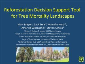 Reforestation Decision Support Tool for Tree Mortality Landscapes
