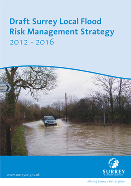 Draft Surrey Local Flood Risk Management Strategy 2012 - 2016