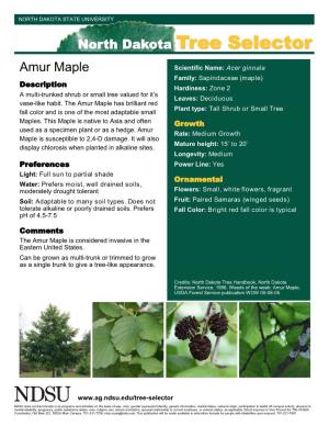 North Dakota Tree Selector Amur Maple
