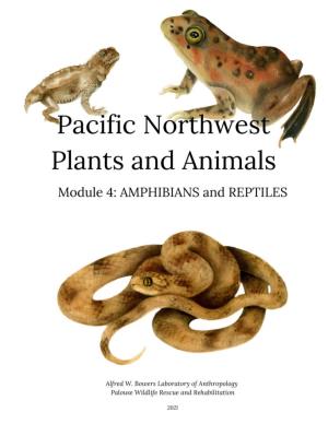 Chapter 4: Amphibians and Reptiles