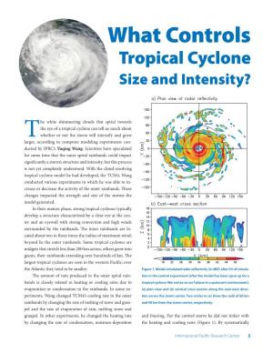 What Controls Tropical Cyclone Size and Intensity?