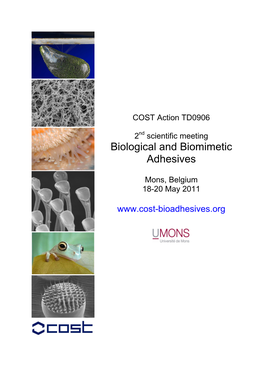 Biological and Biomimetic Adhesives Mons, 18-20 May 2011