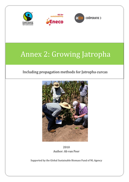 Propagation Methods for Jatropha Curcas
