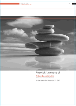 Audited Financial Statements 2007