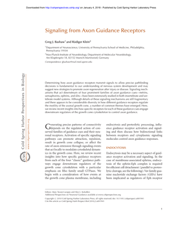 Signaling from Axon Guidance Receptors