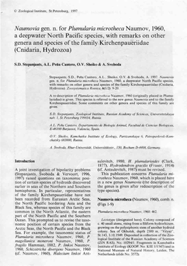 Naumovia Gen. N. for Plumularia Microtheca Naumov, 1960, A