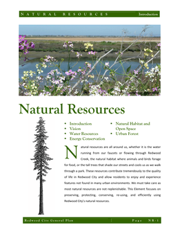 NATURAL RESOURCES Introduction