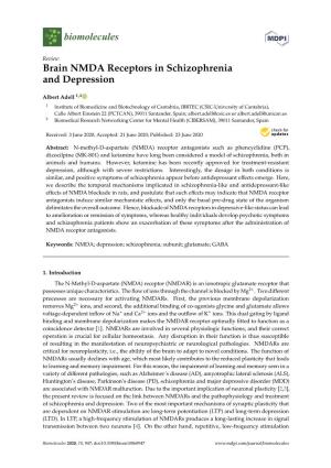 Brain NMDA Receptors in Schizophrenia and Depression