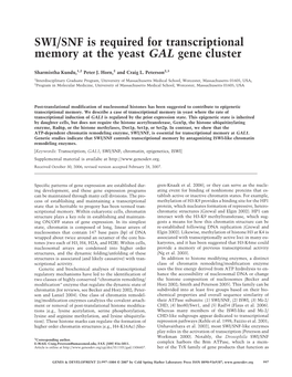 SWI/SNF Is Required for Transcriptional Memory at the Yeast GAL Gene Cluster