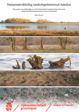 Natuurontwikkeling Landschapshistorisch Bekeken