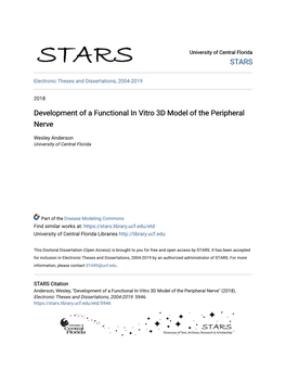 Development of a Functional in Vitro 3D Model of the Peripheral Nerve