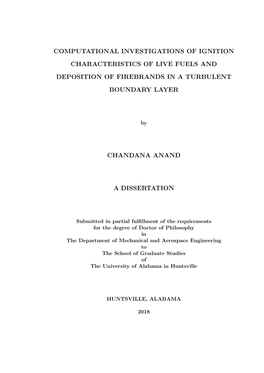 Chandana Anand a Dissertation
