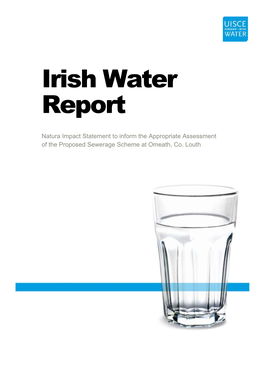 Irish Water Report