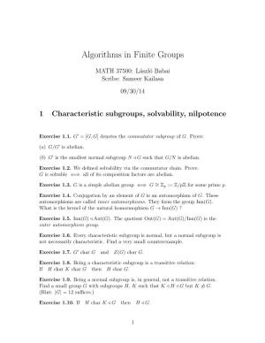 Algorithms in Finite Groups